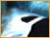 [ DESKTOP IMAGES ]