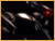 [ DESKTOP IMAGES ]